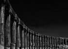 Ring of Giants  A ring of columns marches off into the distance at the central part of the ancient Roman city of Jerash. : BW, Jerash, Jordan