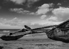 Dhow B&#38;W  A typical Dhow boat beached along the east coast of Zanzibar. : BW, Tanzania, Zanzibar